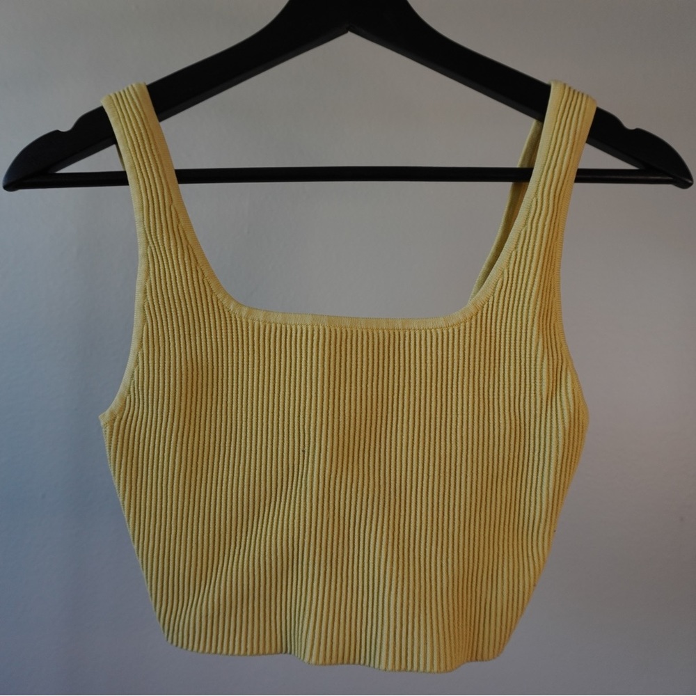 Aritzia Babaton crop top